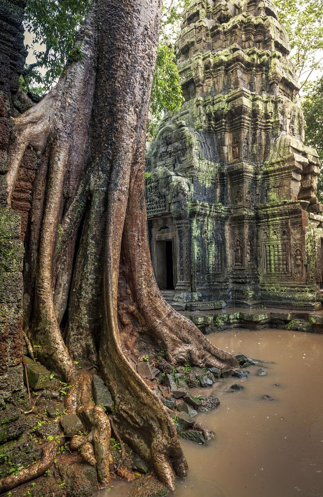 Ta Prohm Khmer ancient Buddhist temple.