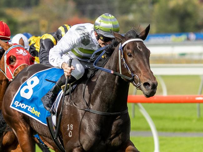 Skybird wins the Group 2 Tobin Bronze Stakes at Morphettville. Picture: Makoto Kaneko