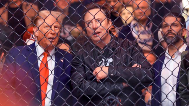 President-elect Donald Trump and Tesla and SpaceX CEO Elon Musk and Donald Trump Jr. watch a fight during UFC 309 at Madison Square Garden in New York, on November 16. Picture: Kena Betancur / AFP