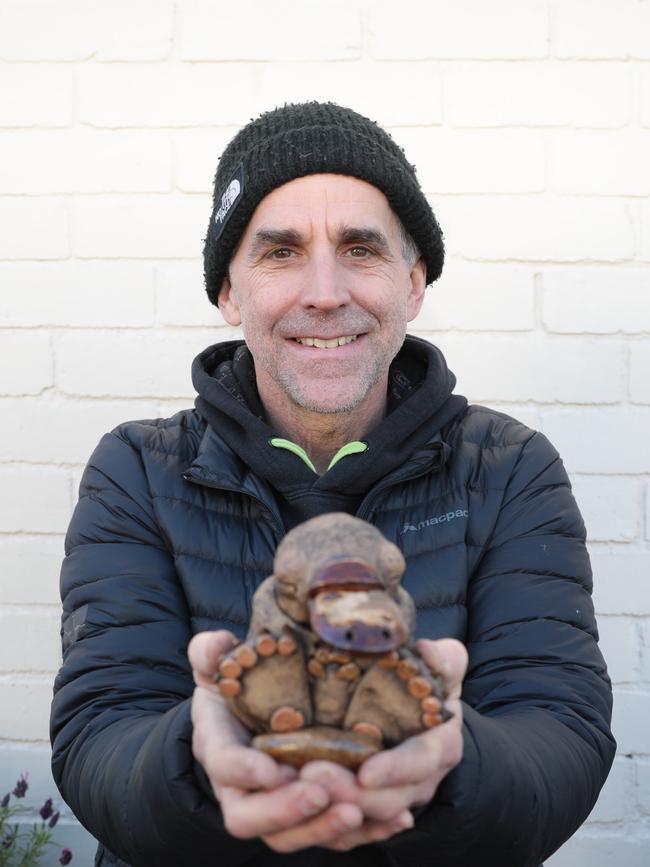 Pete Walsh he has crowdfunded some money to set up a large platypus mural on a wall in South Hobart. He's an environmentalist who loves platypus.