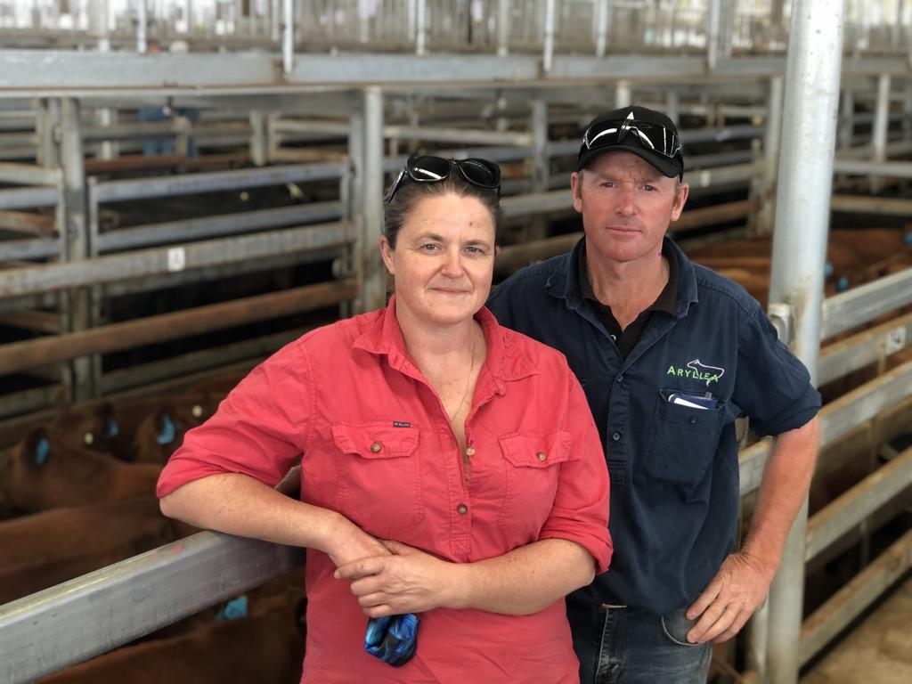 Mortlake store cattle sale: Excitement at saleyards as virus ...