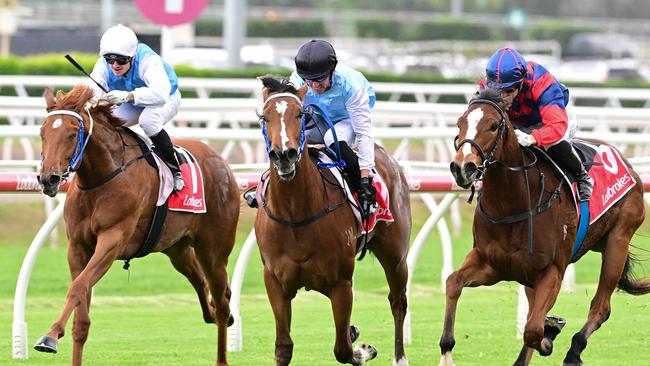 Two-year-old field sizes in Queensland have suffered this season. Picture: Grant Peters/Trackside Photography