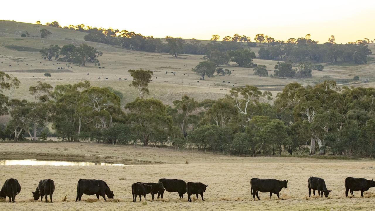 Maps redrawn on deforestation debate