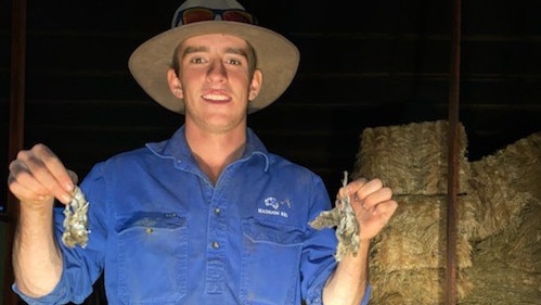 Jackaroo Charlie Rigby said Warren was the "centre" of the state's mouse plague. Picture: Supplied