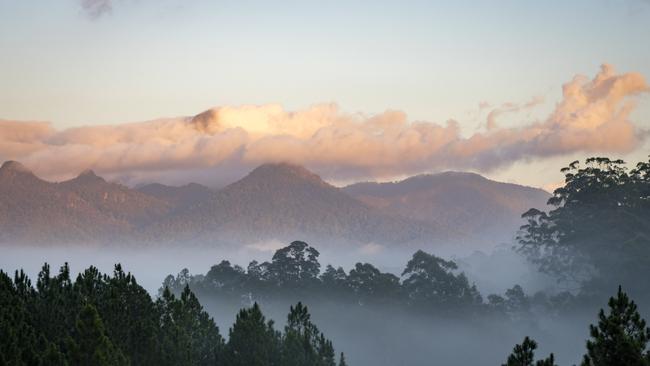 The mountain trail, west of Murwillumbah, is a favourite with tourists from across the globe.