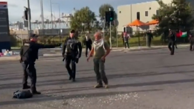 Pro-Palestine protesters clash with police outside the Port of Melbourne (9NEWS)