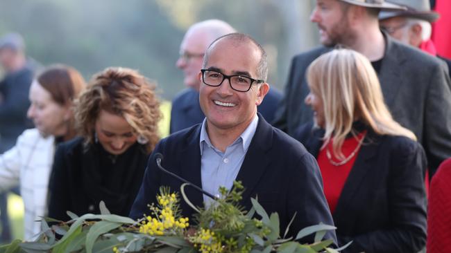 Acting Victorian Premier James Merlino at an announcement at Yarra Bend about the Truth and Justice Royal Commission as part of Aboriginal Treaty talks. Picture: NCA NewsWire / David Crosling