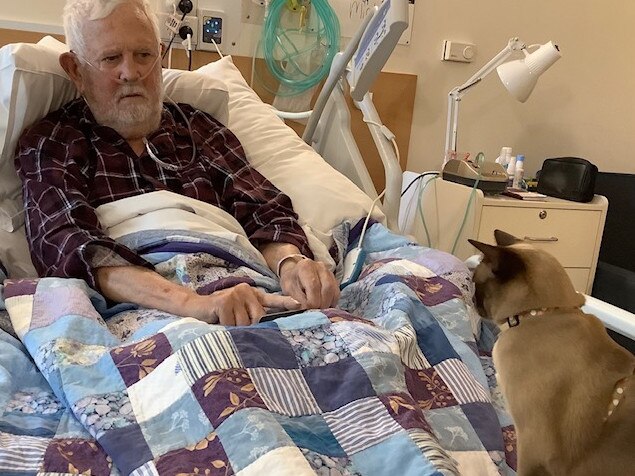 Mike Jenkinson gets a visit from the card-trick playing Burmese cat in the Whittle Ward.