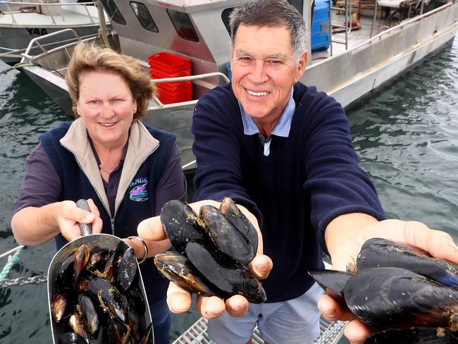 The annual Portarlington Mussel Festival would have been held this Saturday, but was called off in June. Now there is an abundance of mussels in town and suppliers are hopeful of tourists to eat up their supplies. Jennifer Gallop (Festival Vice-President) and Richard Underwood (Festival President) with some Mussels at the Portarlington Harbour.picture: Glenn Ferguson