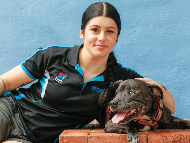 Alicia Pace and "Jimmy" a 12 year old Staffy as RSPCA Darwin got a $3000 donation from Newscorp.Picture GLENN CAMPBELL