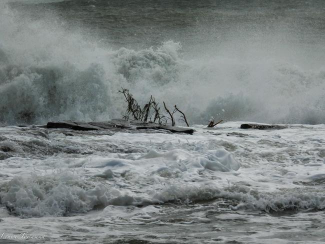 Louise Townsend, 54, of Mountain Creek, took this photo of a tree being smashed by large waves, caused by Cyclone Alfred, at the Point Cartwright break on the Sunshine Coast about 9.45am Thursday, March 6, 2025. Picture: Supplied