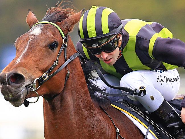 Reiby Rampart ridden by Adam Hyeronimus during the Horse races at Rosehill Gardens.  Pic Jenny Evans