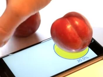 New iPhone app weighs your fruit