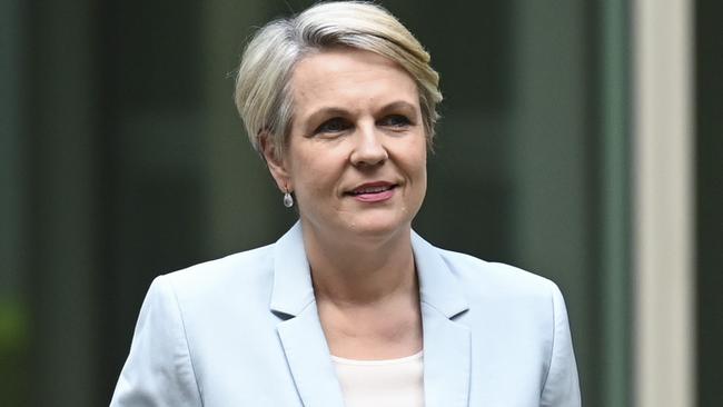 Former environment and water minister Tanya Plibersek, who has been handed the social services portfolio in the new Albanese ministry. Picture: Martin Ollman/NewsWire
