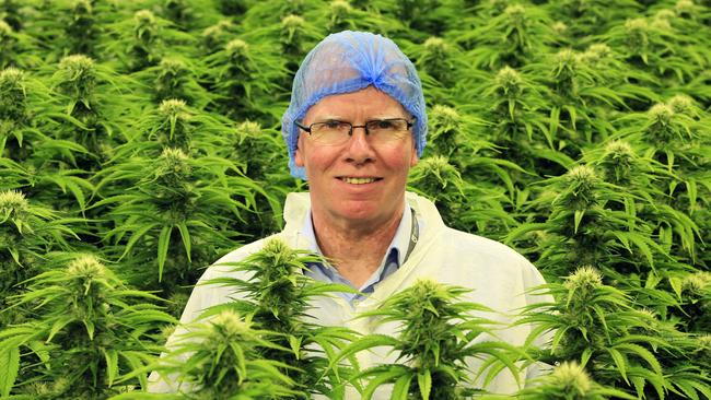 Cann CEO Peter Crock with some medicinal cannabis: ‘We’re setting this up to be an efficient lab-scale producer.’ Picture: Aaron Francis