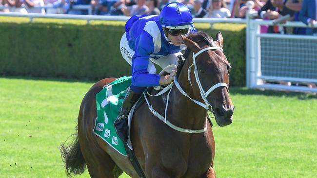 Winx is firming to start in the Queen Elizabeth Stakes next month. Picture: AAP