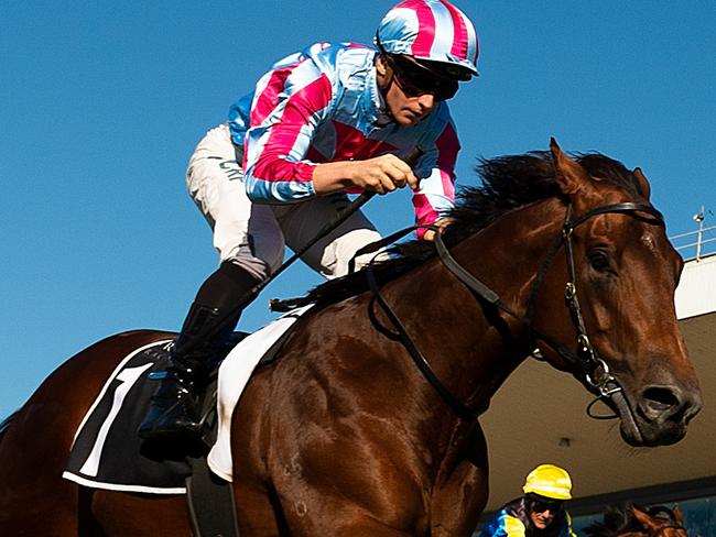 James McDonald rides Dubious to victory in race 6, the Moet & Chandon Champagne Classic, during the Doomben 10000 Day at Doomben Racecourse in Brisbane, Saturday, May 11, 2019. (AAP Image/Albert Perez) NO ARCHIVING, EDITORIAL USE ONLY