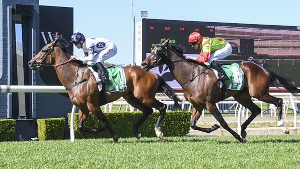 Lady Gold (right) finishes a close second to Line Of Fire at Wyong. Picture: Bradley Photos