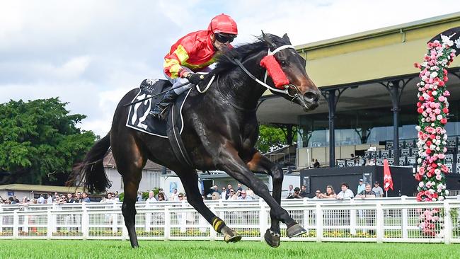 Kevin Kemp has filly Jemoma Alpilage in the $1m BRC Sires' Produce Stakes at Eagle Farm on Saturday. Picture: Grant Peters, Trackside Photography.