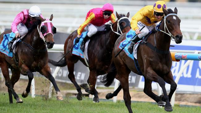 Caulfield Races, Bletchingly Stakes Day.....Race 4, Chris Flavelle Handicap. Winner no.3 Sino Eagle ridden by Linda Meech. Picture:Tim Carrafa