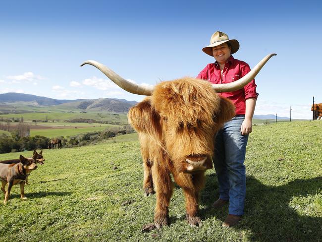 Bec Lynd raises Scottish Highland cattle on her Derwent Valley property. Picture: MATTHEW THOMPSON