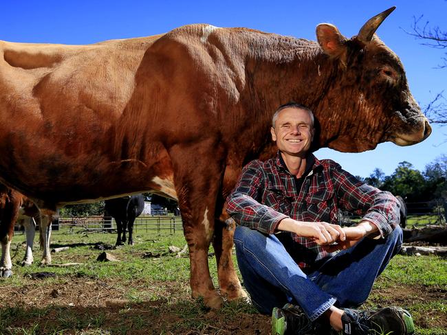 Anthony Walsgott from Save a cow sanctuary. With Swifty the Jersey bull. Jersey Bulls are considered to be aggressive and have killed farmers but Anthony has a close relationship with these bulls he has rescued and hand raised. Pic Megan Slade.