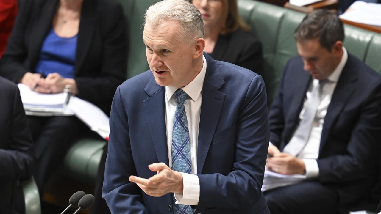 Immigration Minister Tony Burke. Picture: NewsWire/Martin Ollman