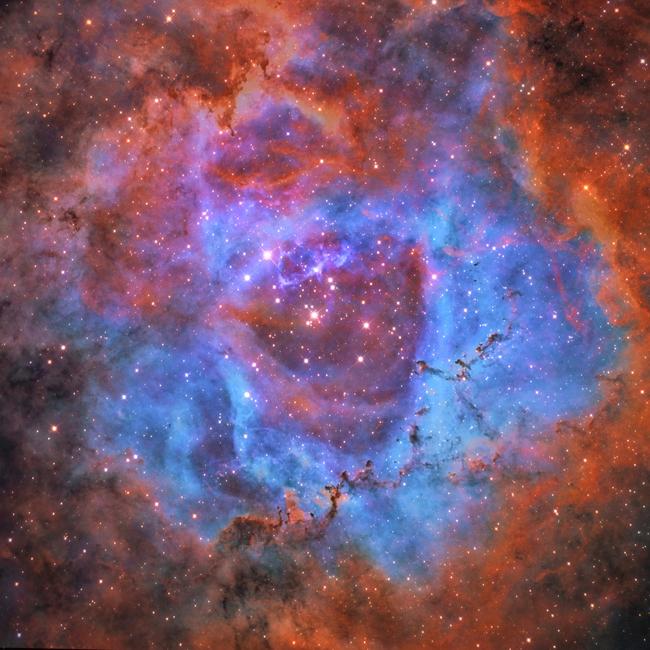 Roses Blooming in the Dark: NGC 2337 by Yanhao Mo. This photo won highly commended in the Young category. The Rosette Nebula is a large nebula and has a diameter of around 130 light years and is situated around 5,000 light years away from Earth. Location: China