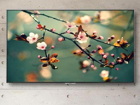 Sharp’s new TV will cost $186,000