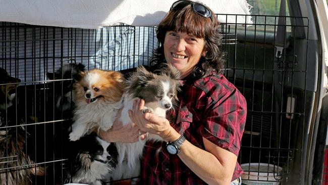 Dog breeder Dora Ryan with two of her pomeranians outside the RSPCA shelter in Lonsdale. Picture: Dylan Coker