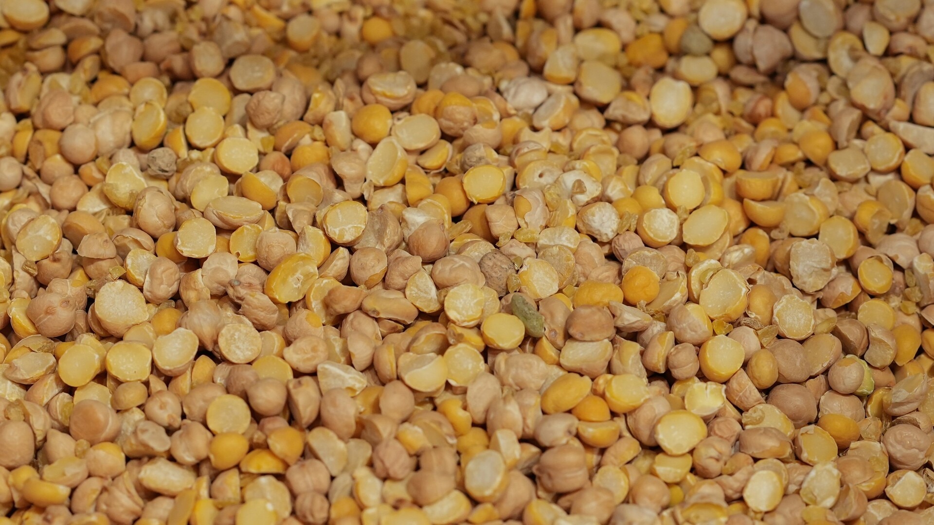 Increase in chickpea exports could lift December quarter GDP figures