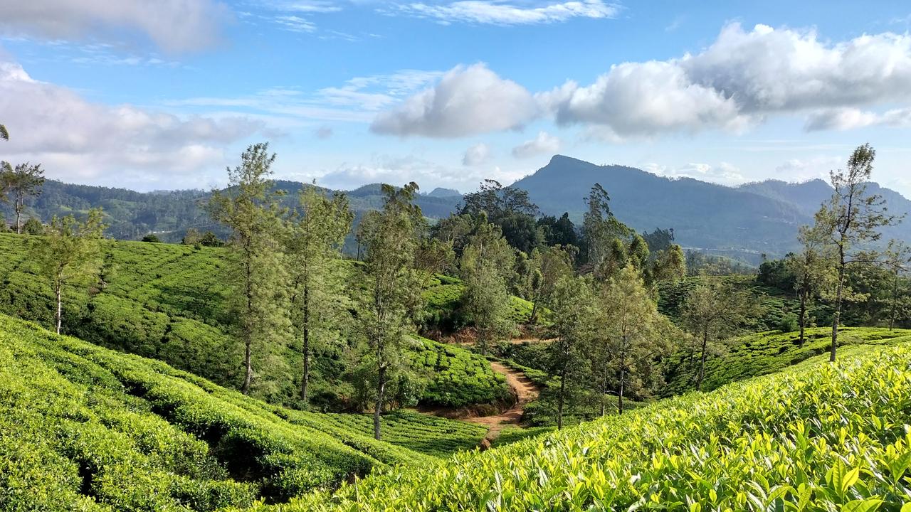 Sri Lanka’s best new walk: The Pekoe Trail | The Australian