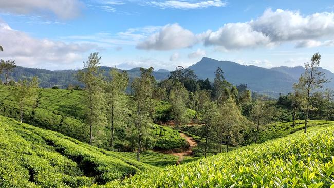 The Pekoe Trail in Sri Lanka.