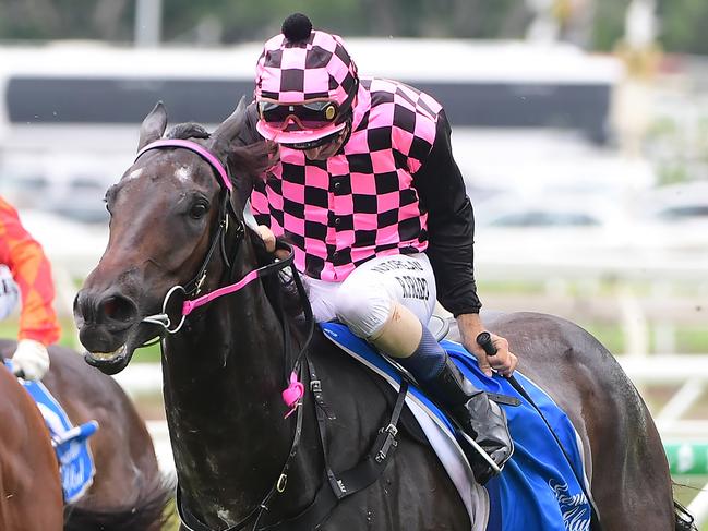 Emerald Kingdom winning at Eagle farm. picture: Trackside Photography