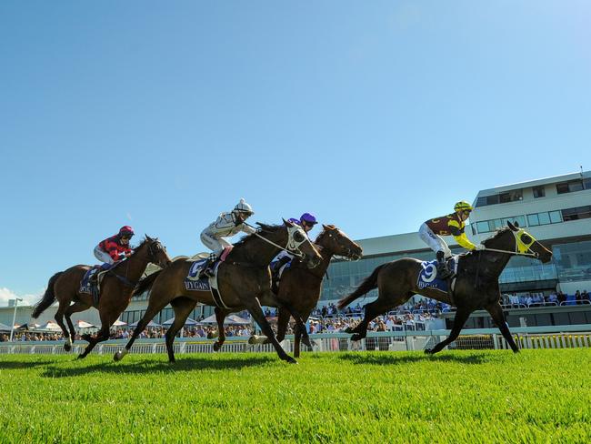 Weekend Winner wins at Gold Coast on September 24, 2016. Photo: BRUCE THOMAS