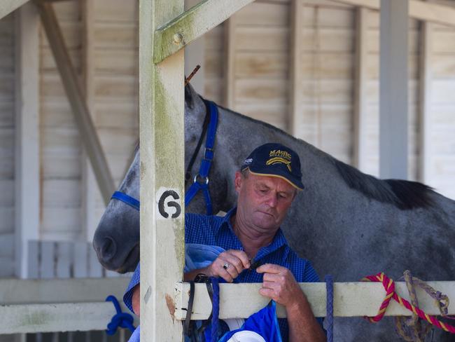 The horses kept cool in the stables before their race.