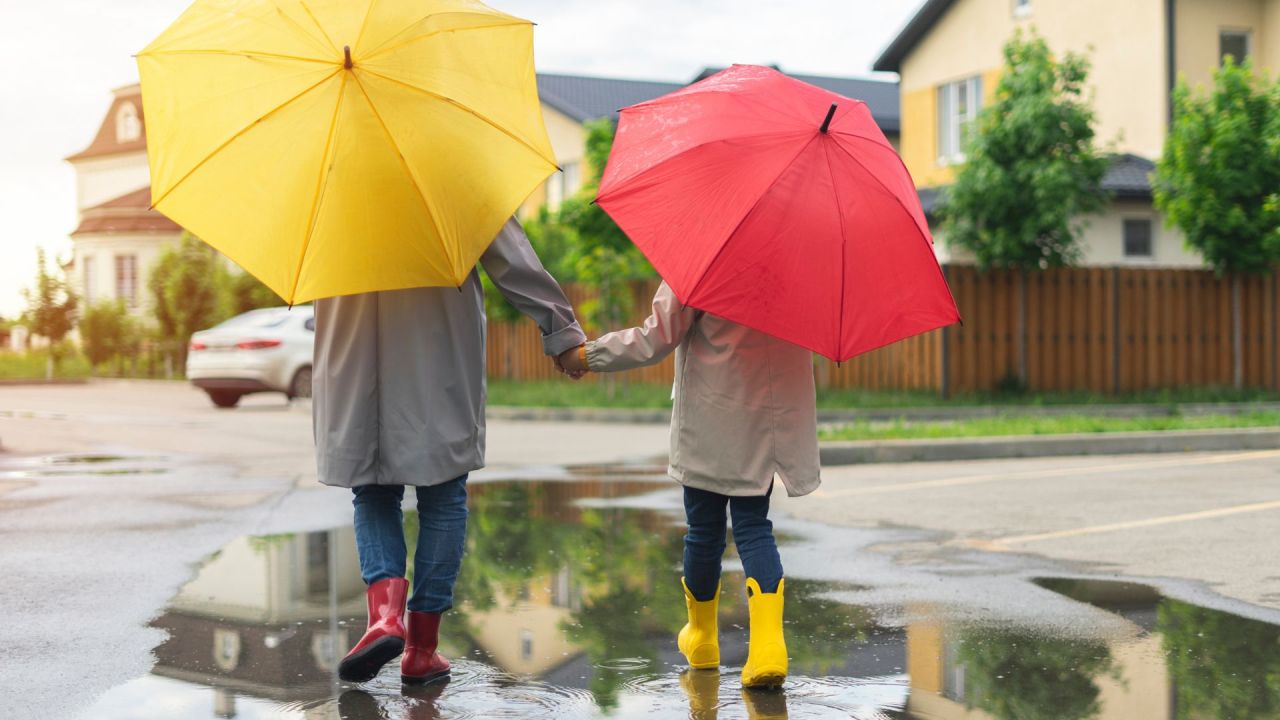 Toy on sale story gumboots