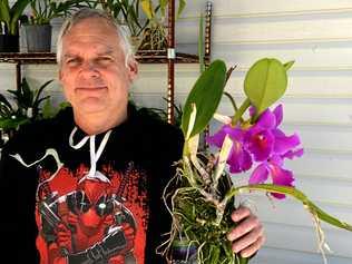 BLOOMING BEAUTIES: Davin Gurr is leaving Rockhampton and selling his precious orchid collection. Picture: Jann Houley
