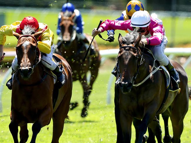 Sam Clipperton ( white cap/pink sliks ) rides DIXIE BLOSSOMS down the outside to win Race 3 at Canterbury Race course , Canterbury.Picture Gregg Porteous