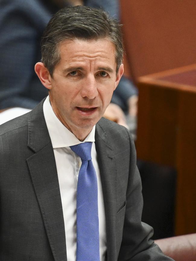 Opposition foreign affairs spokesman Simon Birmingham. Picture: NewsWire/Martin Ollman