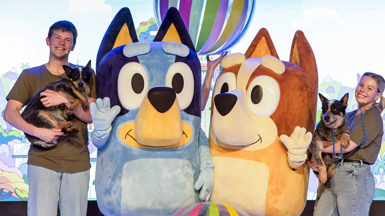 Bluey live show extended for one day at Royal Adelaide Show | The ...