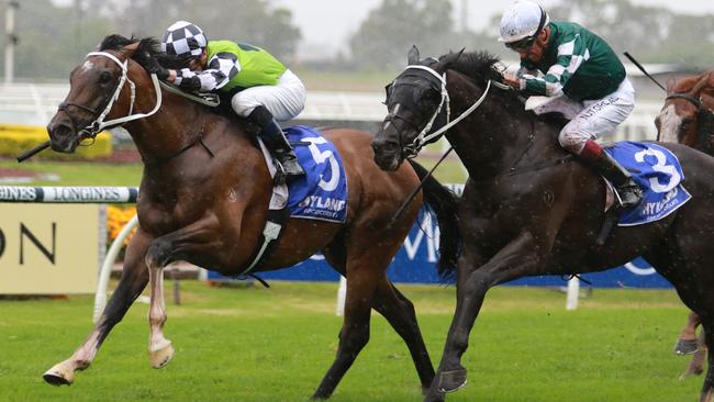 Imaging (left) can break through for an overdue win. picture: Grant Guy