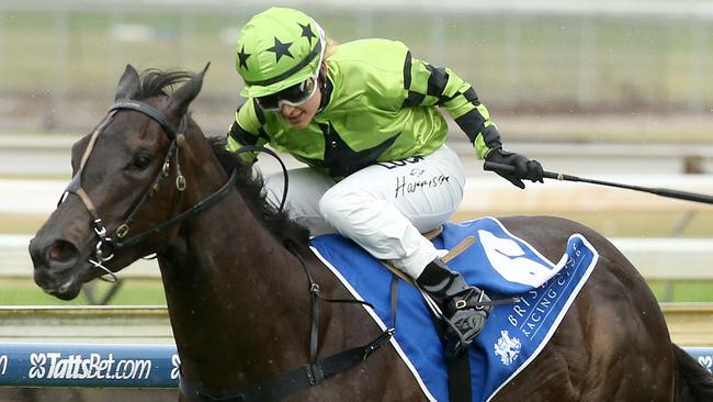 Pienkna looks good value at Doomben on Saturday. Picture: Jono Searle