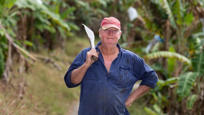 Ross Lindsay on his banana farm at Wamuran. Picture: Dominika Lis