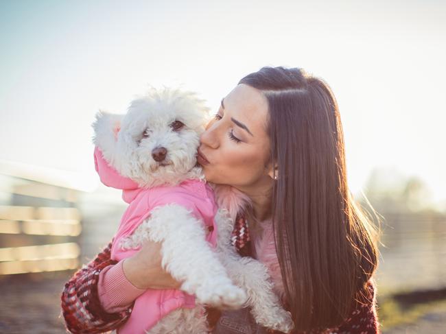 Girl having fun with a dog in the park on a sunny autumn day,