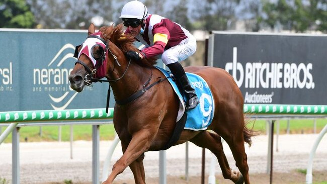 Glen Boss rides Swift Witness to victory at the Gold Coast last Saturday. Picture: Trackside Photography