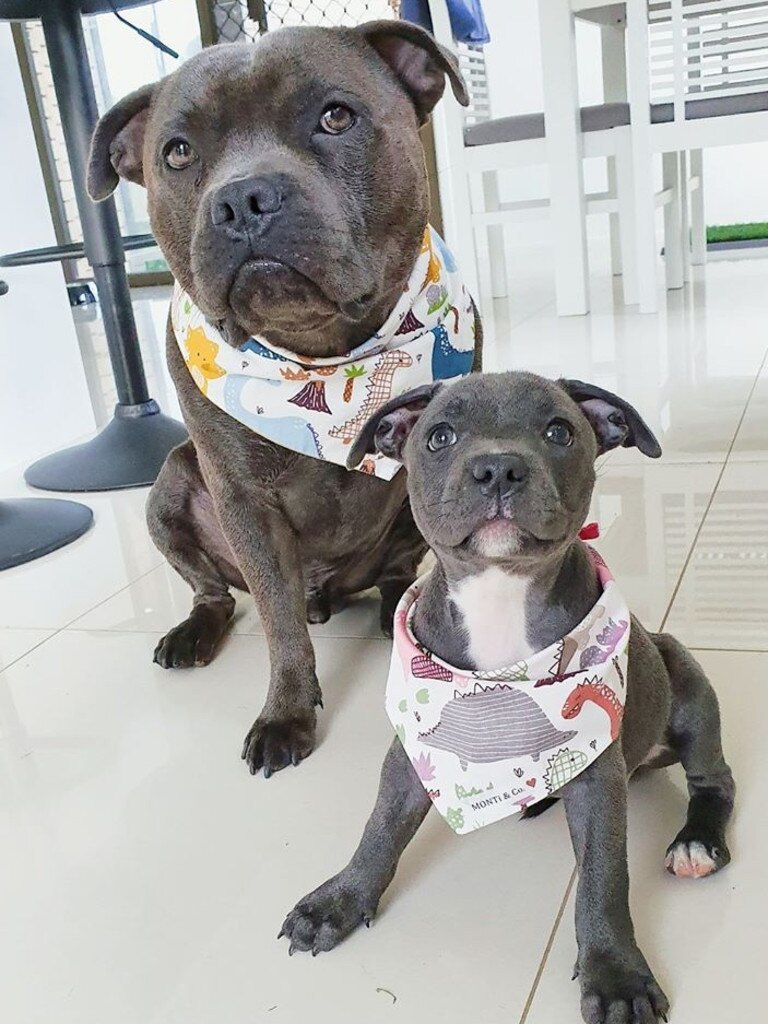 Ciara O'Higgins: "Here we have Kobi (1) and his new little sister Bella (11weeks) best of friends already and double the trouble." Picture: Ciara O'Higgins