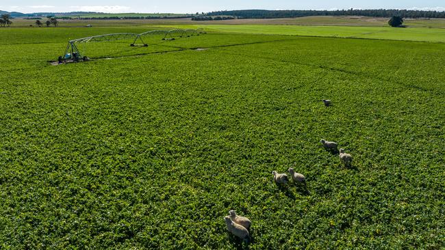 Grazing and intensive cropping have been run at Rockthorpe Estate thanks to significant irrigation infrastructure.