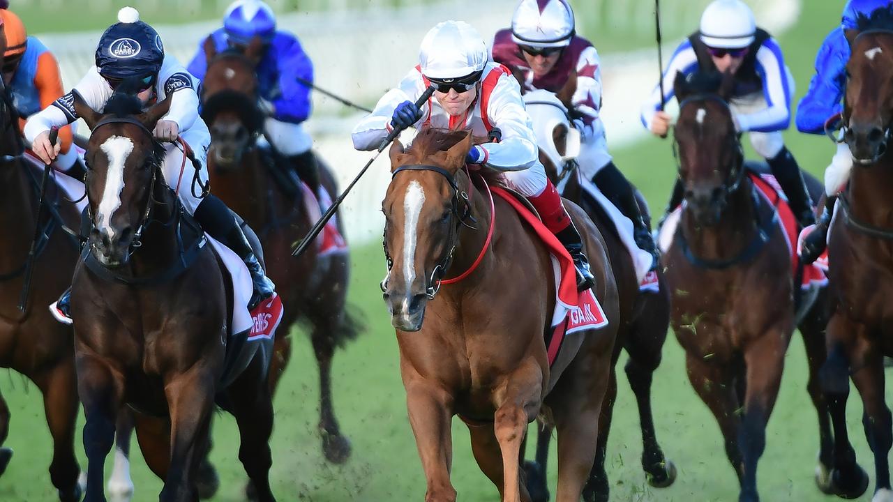 The Everest winner Giga Kick is a piping hot favourite for Saturday’s Group 1 Goodwood at Morphetville Picture: Grant Peters - Trackside Photography