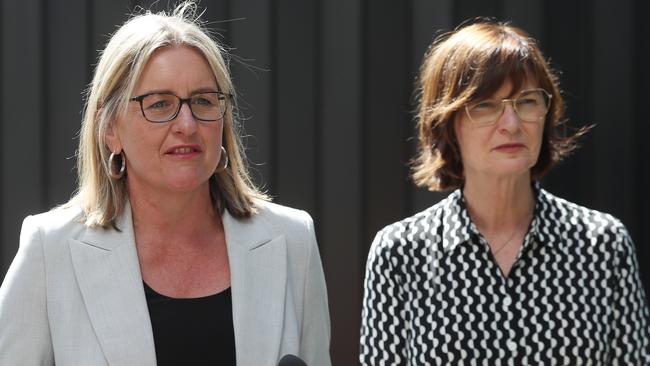 Jacinta Allan, pictured with Minister for Health Mary-Anne Thomas, says the Royal Children’s Hospital means ‘something special to every Victorian’. Picture: David Crosling